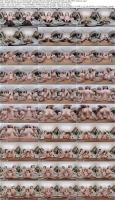 665901152_virtualtaboo-25-11-28-remido-amber-bloom-molly-kit-xxx-vr180-1440p-mp4-narcos_s.jpg