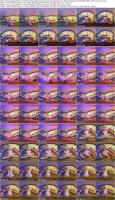 728076762_vrcosplayx-26-05-14-silvia-wise-beyond-journeys-end-frieren-a-xxx-parody-xxx-vr1.jpg
