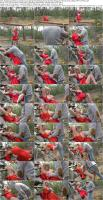 741212725_katerina-hartlova-26-06-19-cosplay-red-riding-hood-and-my-story-in-wood-xxx-1080.jpg 741212725_katerina-hartlova-26-06-19-cosplay-red-riding-hood-and-my-story-in-wood-xxx-1080.jpg