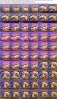728076762_vrcosplayx-26-05-14-silvia-wise-beyond-journeys-end-frieren-a-xxx-parody-xxx-vr1.jpg