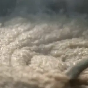 10768255-f22fa604a12d30968a4256cef374c790.mp4