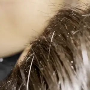 10798839-ebebd70eebb001ff81af906d20e9075b.mp4