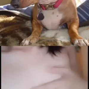 10894206-4dd55f207371a0cfb7c2d94539040a4c.mov