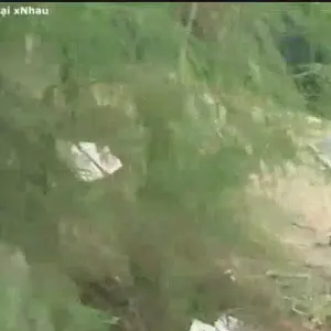 11249468-8252d0f3b7789dd3282ea37a8daa3425.mp4