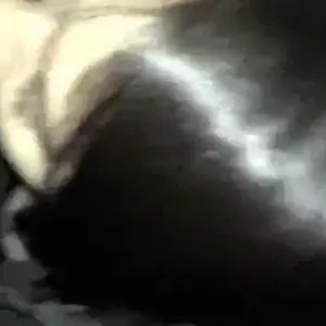 11258177-1fb490533c8fdd9ff21da504d2158504.mp4
