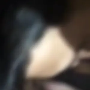 12135233_v7.mp4