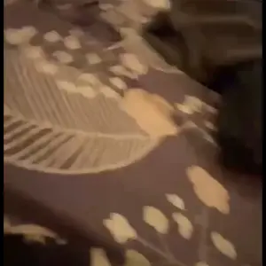 Jilian3.mp4