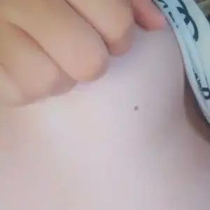 0P8WkBVp_720p.mp4