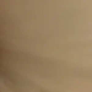 PqON1y3ooZVTp5W8.mp4